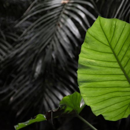 Jusandi Ishigaki  Exteriér fotografie