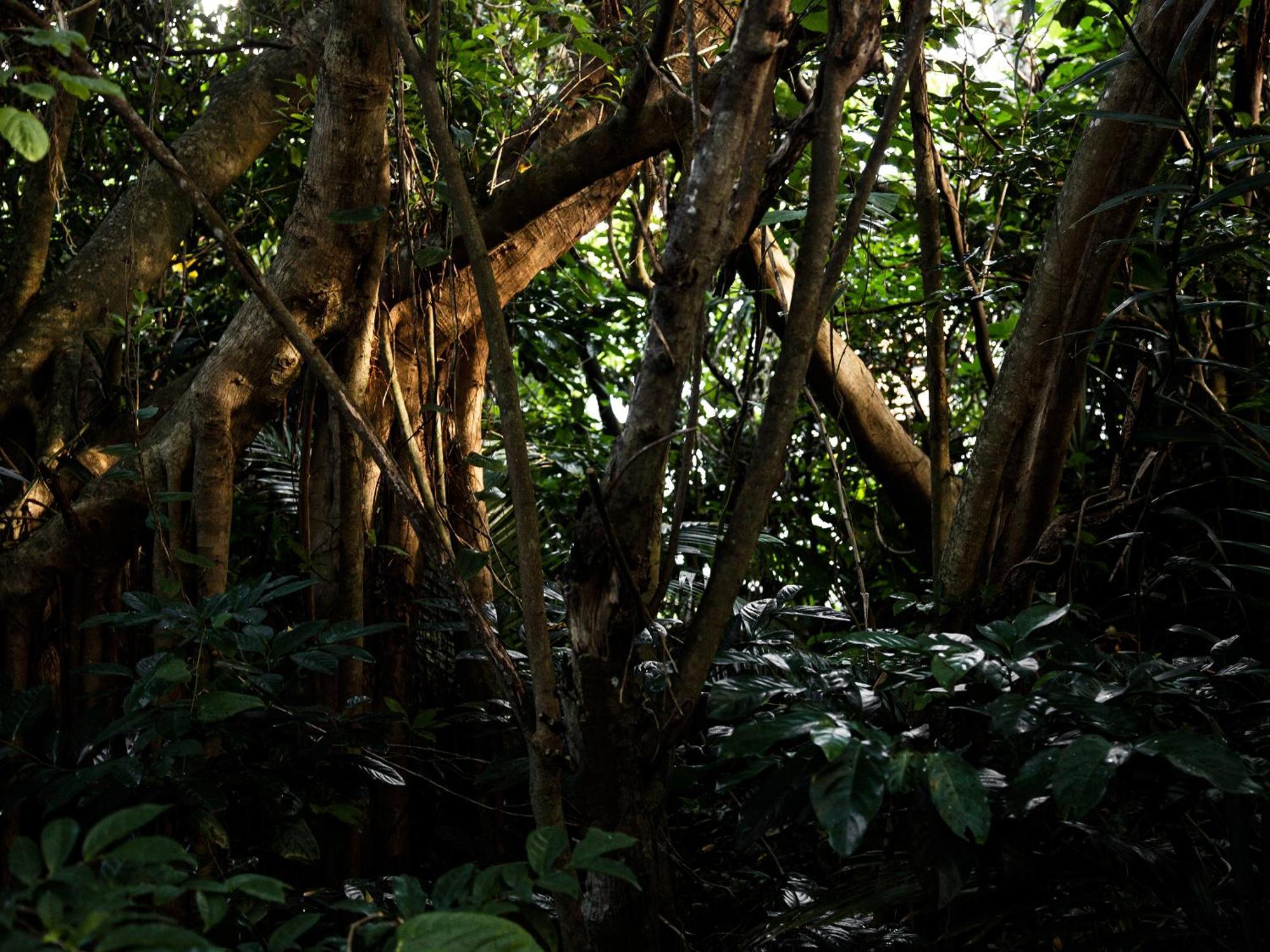 Jusandi Ishigaki  Exteriér fotografie